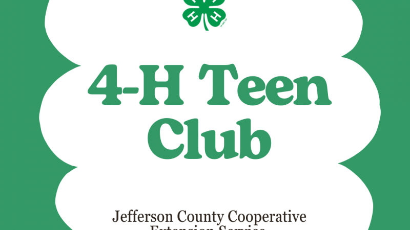 4-h Teen Club flyer